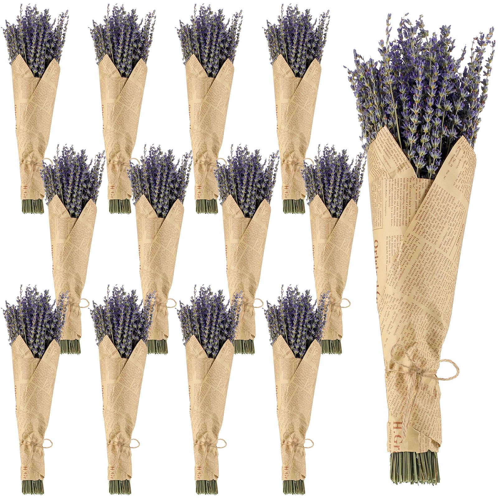 Jutom 12 Pack Total 2280 Stems Dried Lavender Bundle Bulk Organic Lavender Flowers Decor Natural Dried Purple Flowers Bunches for Bathroom Shower DIY Arrangements Wedding Home Party Decorations