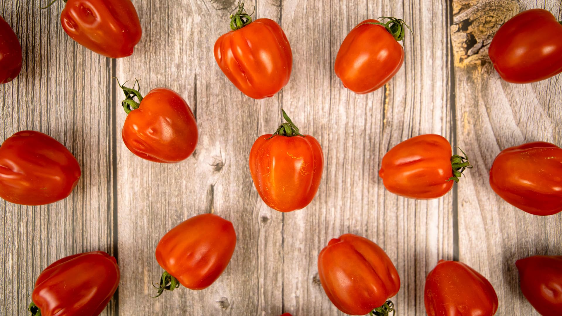 Tomate fresco Wabi-Sabi 0,85kg Origen España Andalucía Costa Tropical Cooperativa Granada La Palma