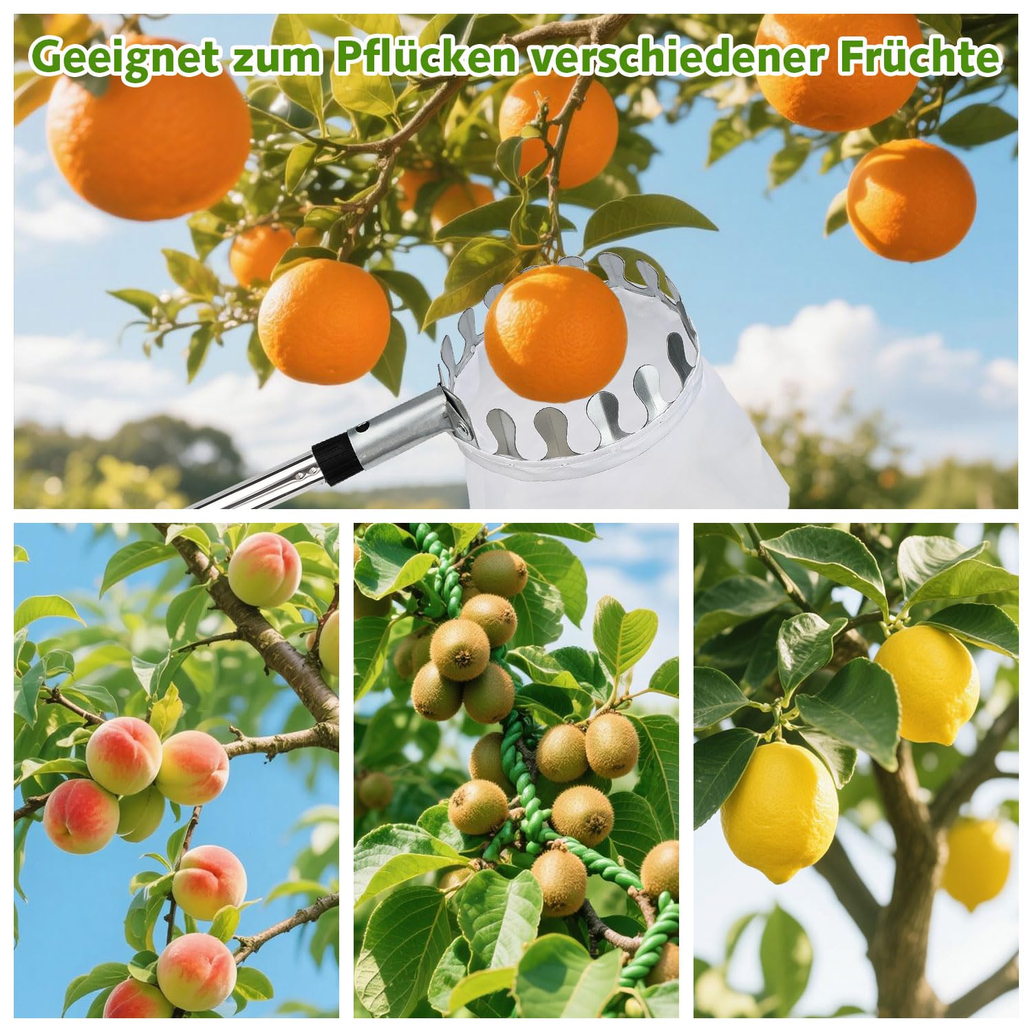 4.2M Obstpflücker mit Teleskopstiel, Apfelpflücker, Kirschenpflücker für Kirschen, Pflaumenpflücker mit 2 Baumwollbeutel Diameter 16 cm, Obstpflücker für Ernteernte Apfel Zitrus Birnen