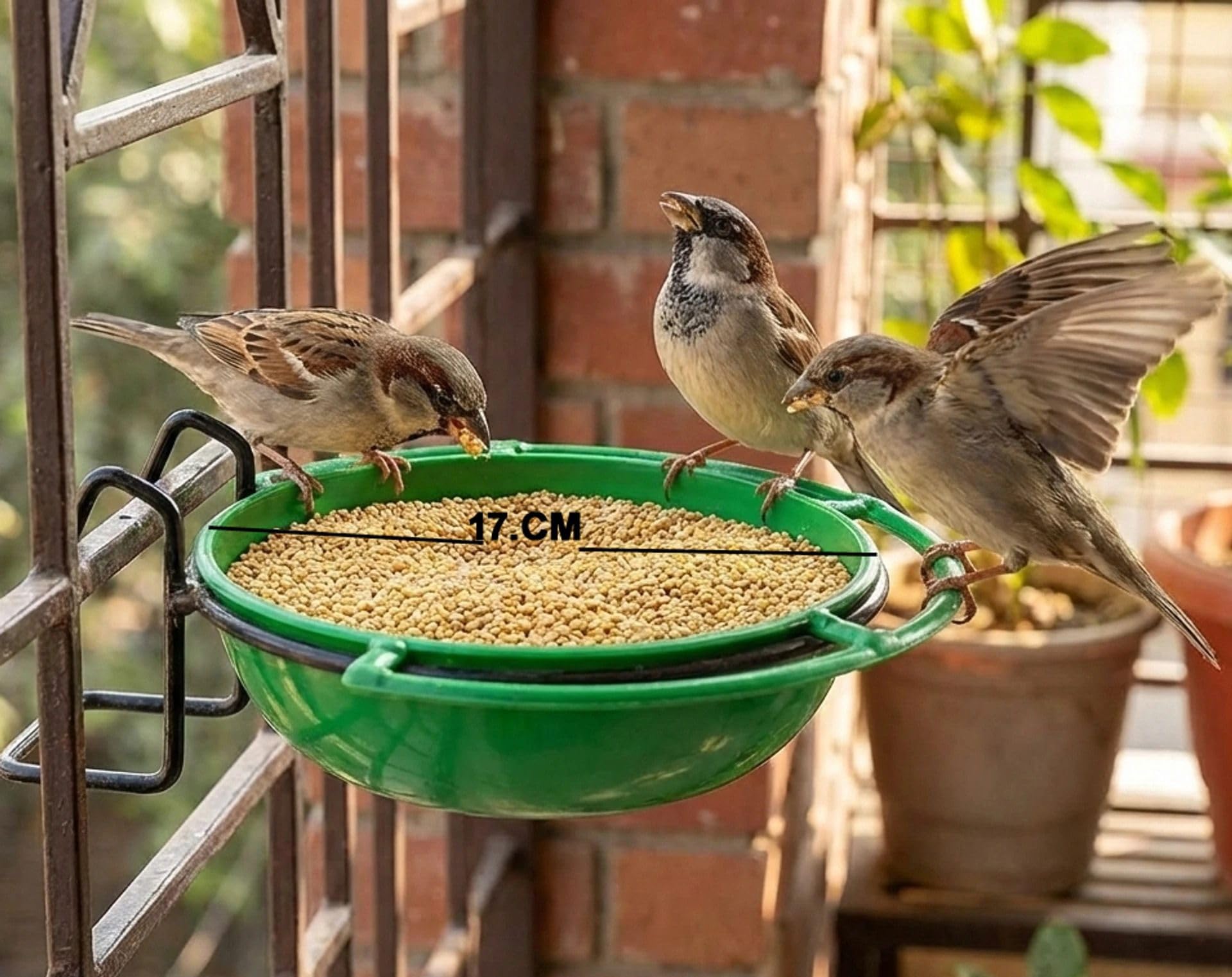 Amijivdaya Bird Feeder Bowl - Food & Water -3