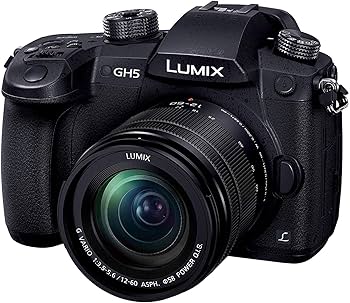 LUMIX GH5 標準ズームレンズ 動画撮影セット ミラーレス一眼レフ Amazon | パナソニック(Panasonic) ミラーレス一眼カメラ