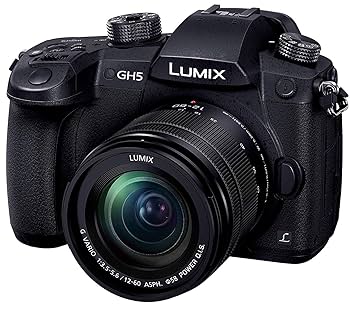 【訳あり】LUMIX GH5 ミラーレス一眼 単焦点レンズセット Amazon | パナソニック(Panasonic) ミラーレス一眼カメラ