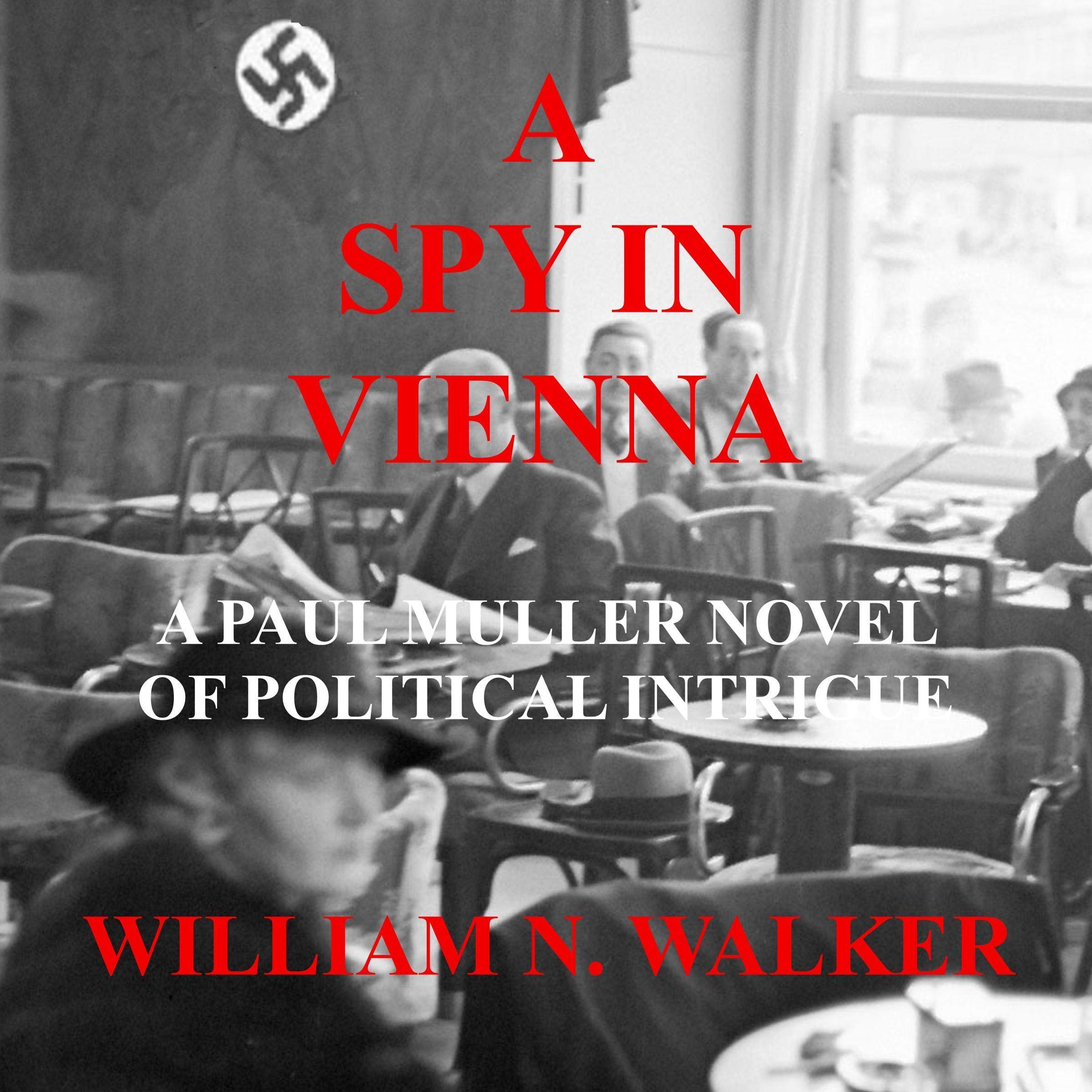 A Spy in Vienna