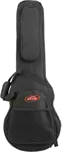 Amazon | SKB エレクトリックギター レスポールタイプ用セミハード