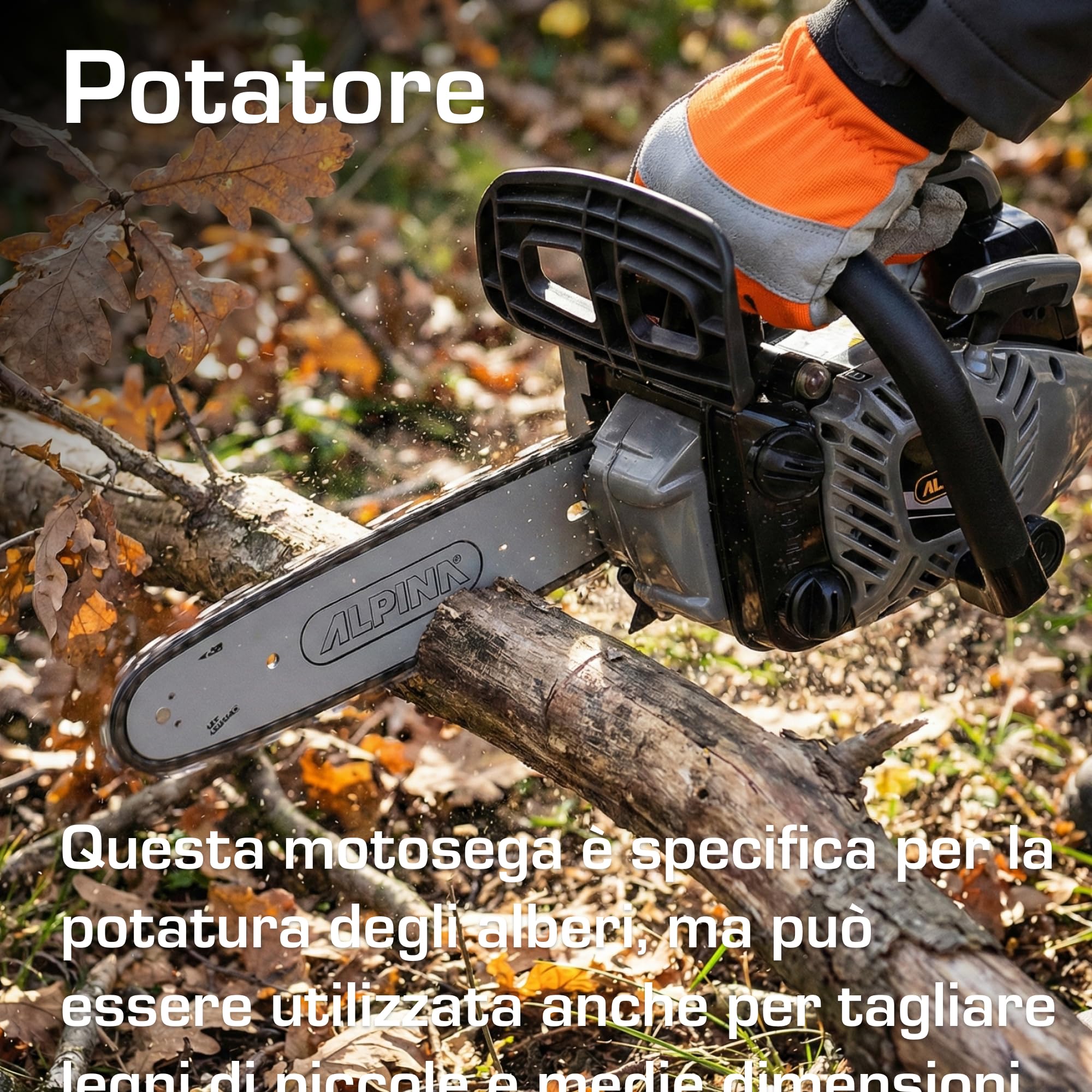 Alpina APR 25 Motosega da potatura, 25,4 cc – Barra 25 cm, Pompa olio automatica regolabile – Per potatura di alberi e arbusti