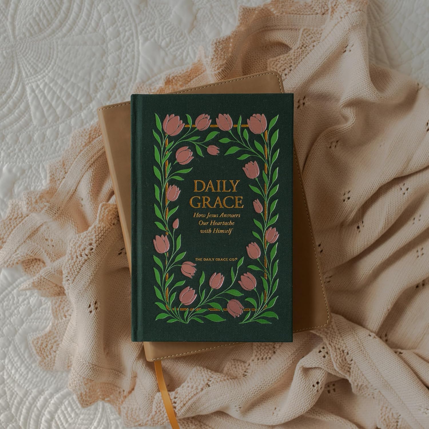 Daily Grace: How Jesus Answers Our Heartache With Himself      Hardcover – March 23, 2026