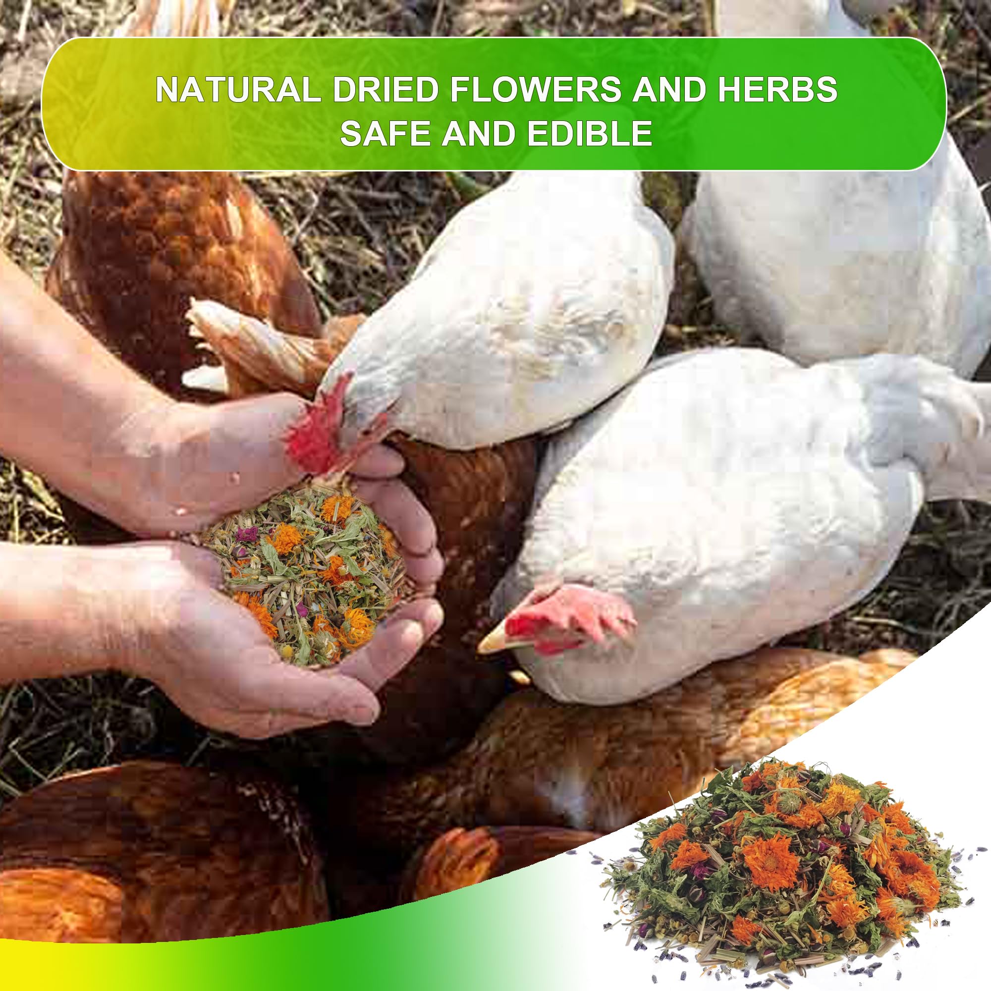 21 Oz Chicken Nesting Herbs,Natural 7 Dried Herbs Nesting Herbs For - View #10