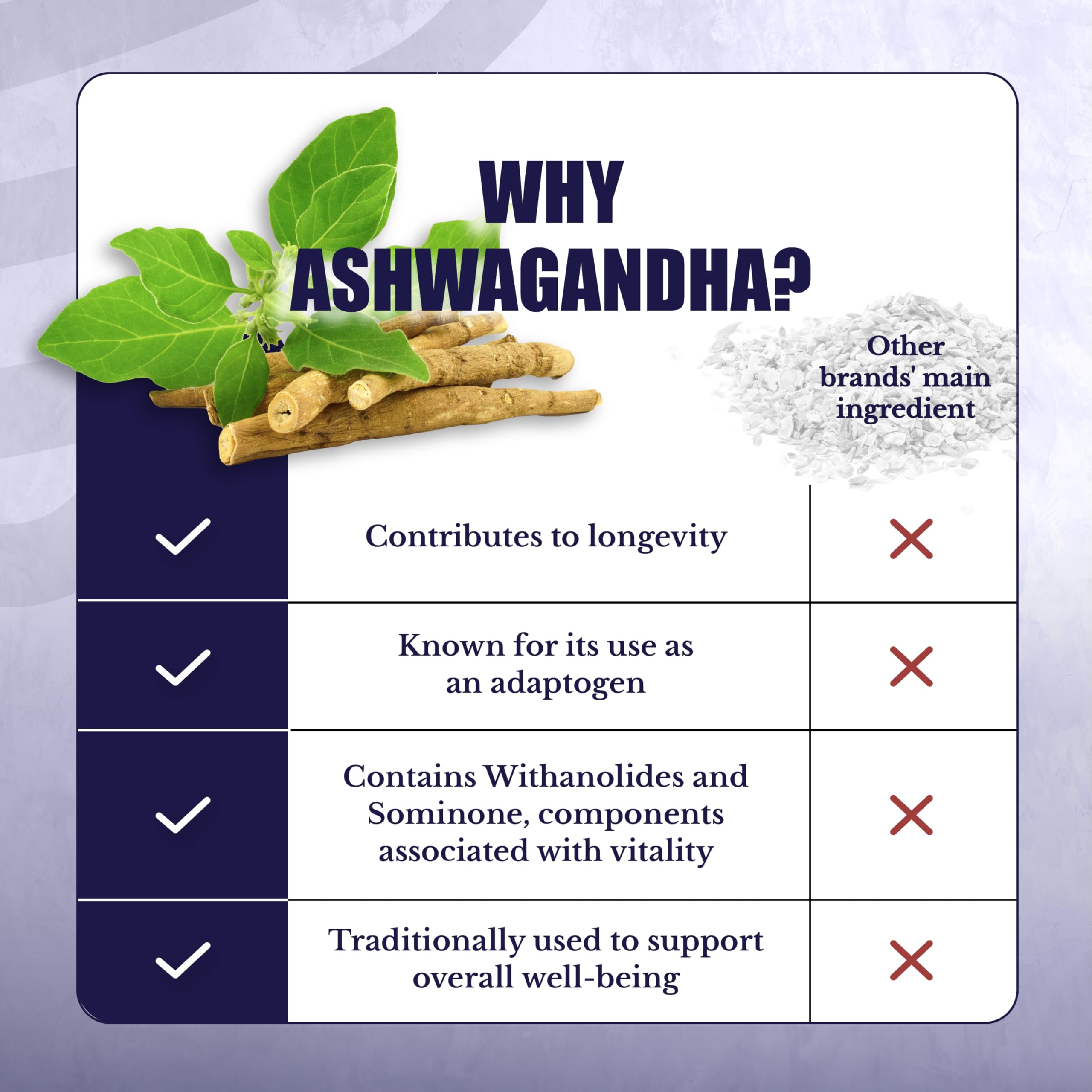 ActiveSpan | Longevity Supplements with Astragalus Root — Amazon image 5
