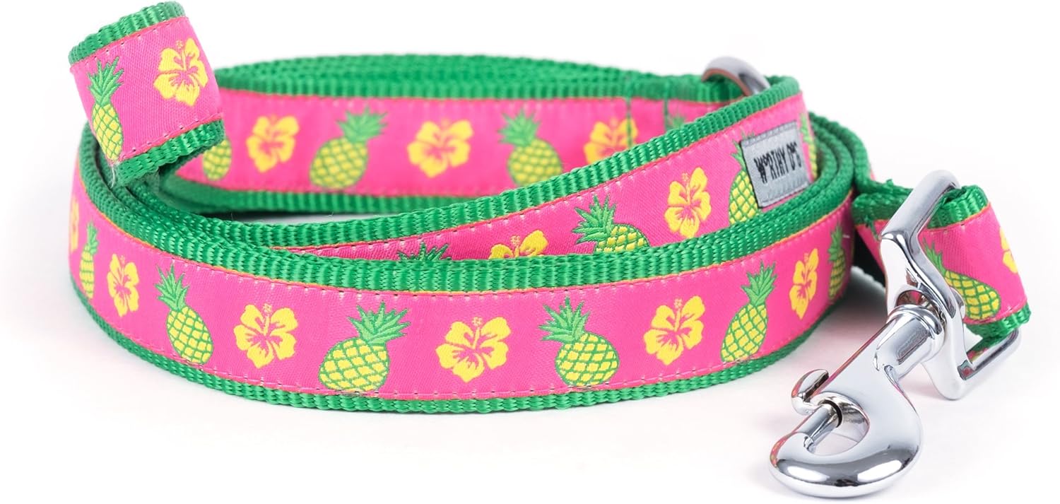 THE WORTHY DOG Pineapples Patterned Nylon Leash for Dogs, Stylish, Durable, Woven Ribbon - Pink/Green, Large