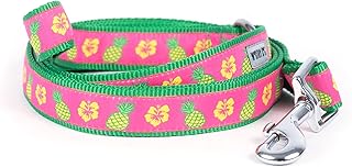 The Worthy Dog Pineapples Leash for Small Dog Made of Nylon Dog Leash for Walking, 5ft Comfortable Strong Leash for Dog Pink Size- Small