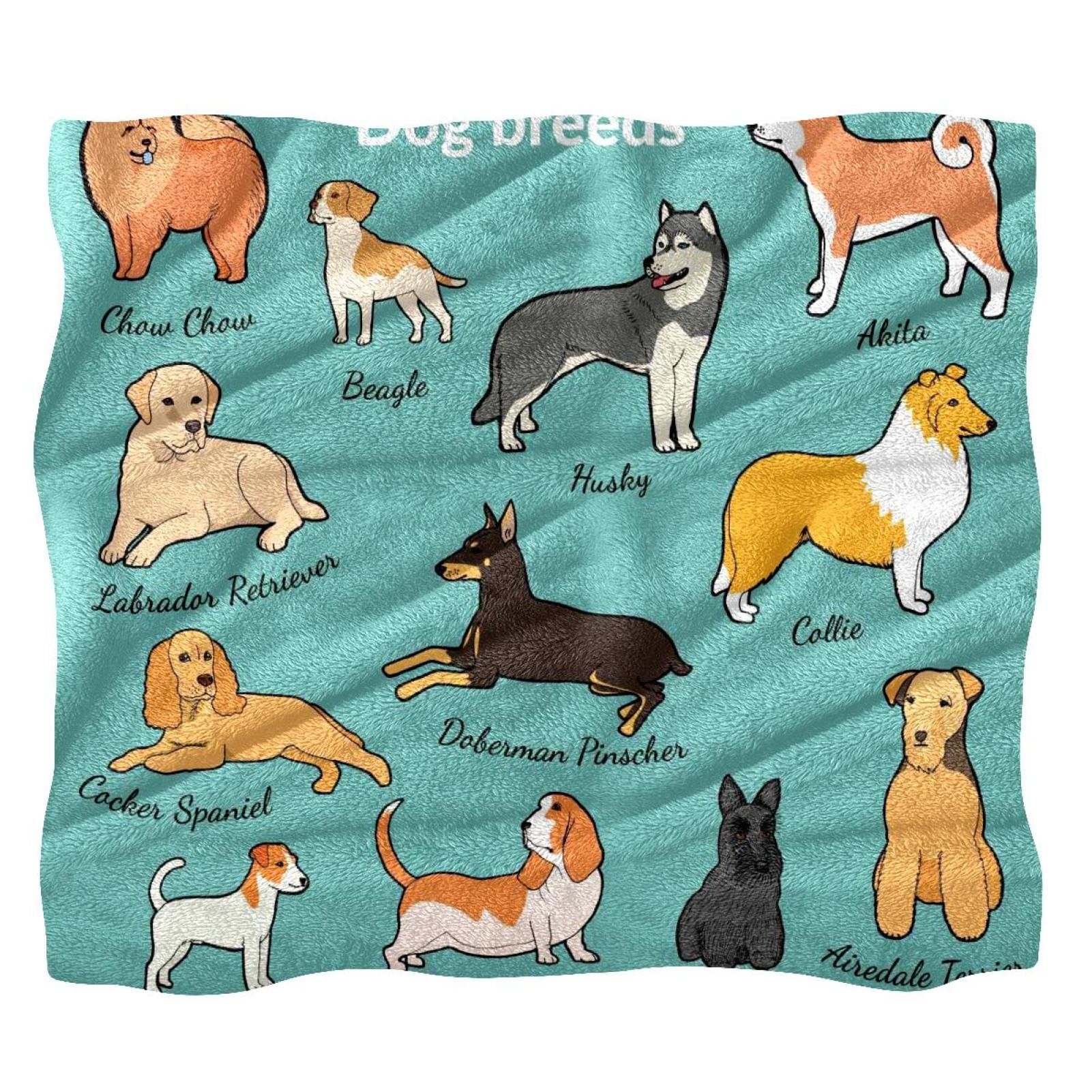 Couverture en peluche douce TBOUOBT imprimée chiens pour un confort thermique optimal
