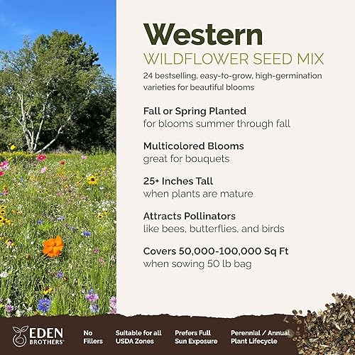 Miniatura 70 de Eden Brothers Midwest - Semillas mixtas de flores silvestres para plantar, 1 libra, más de 480,000 semillas con aciano, Candytuft, sombrero mexicano