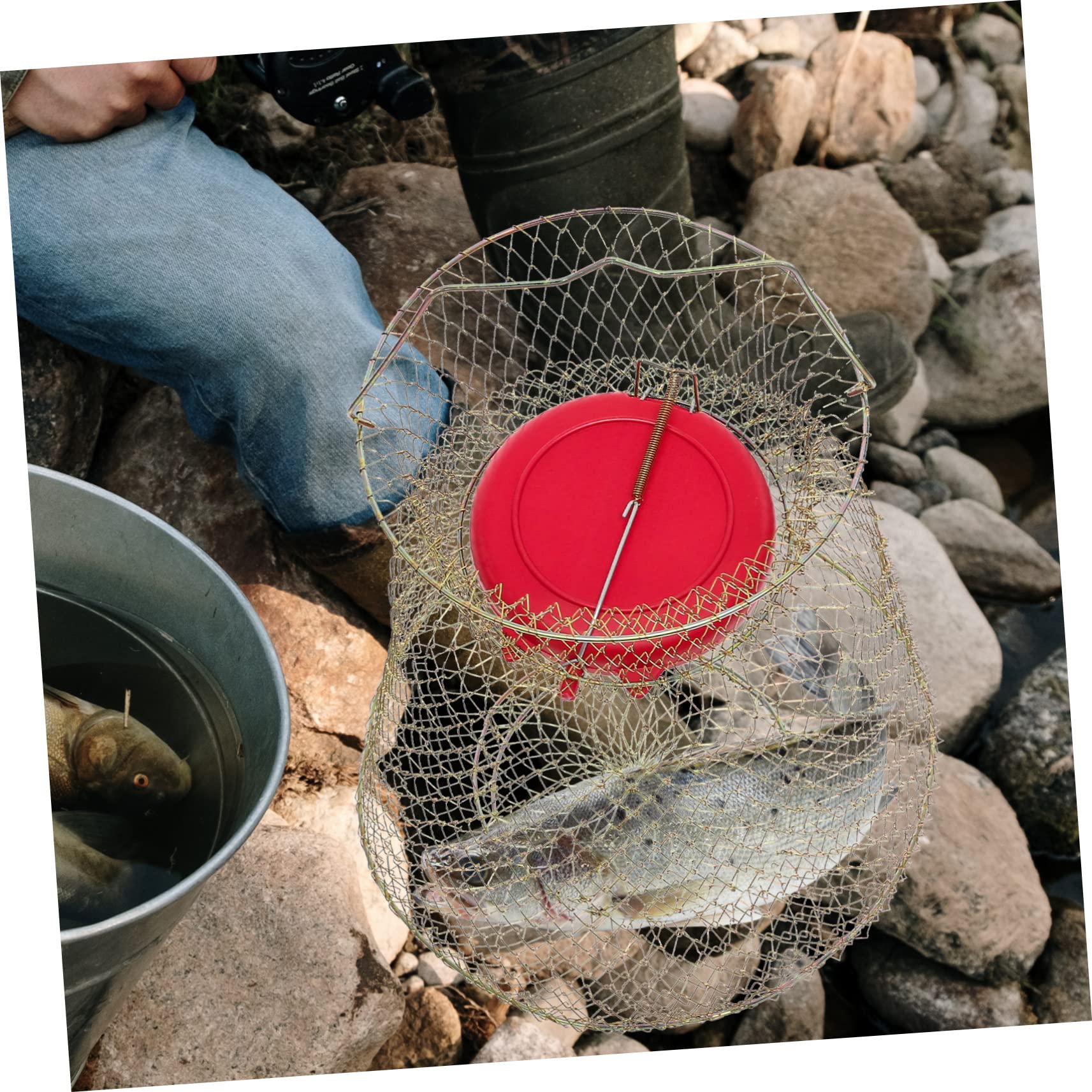 Gabbia da Pesca Portatile in Ferro con Rete Riutilizzabile e Ciotola Galleggiante, Cestino per Cattura Pesci, Granchi e Gamberi, Resistente e Pieghevole per Attività di Pesca