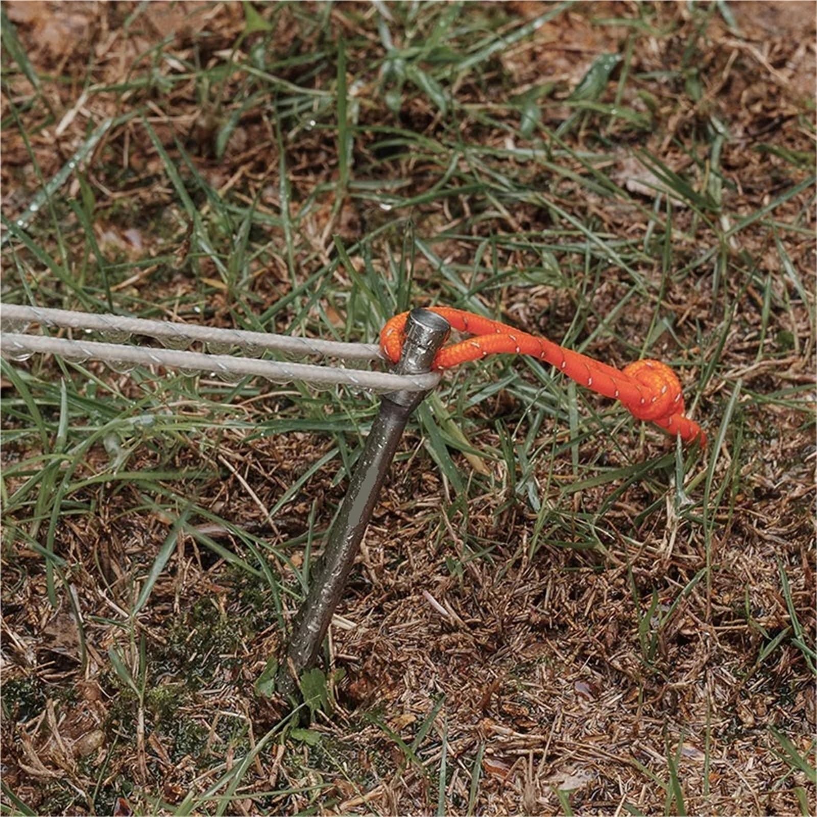 Piquets en Titane Robustes, 10 pièces, Accessoires de Tente Camping Plein air, piquets, Clous pour Le Camping, Les Voyages