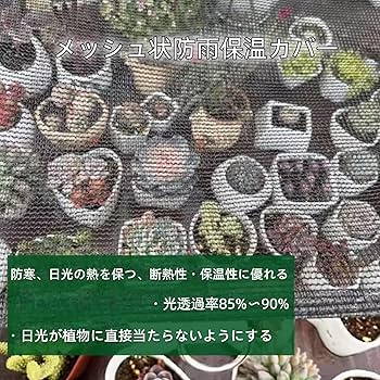 温室・飼育ケース non Amazon | Nicheez 亀 水槽 タートル ボックス かめ カメ 爬虫類