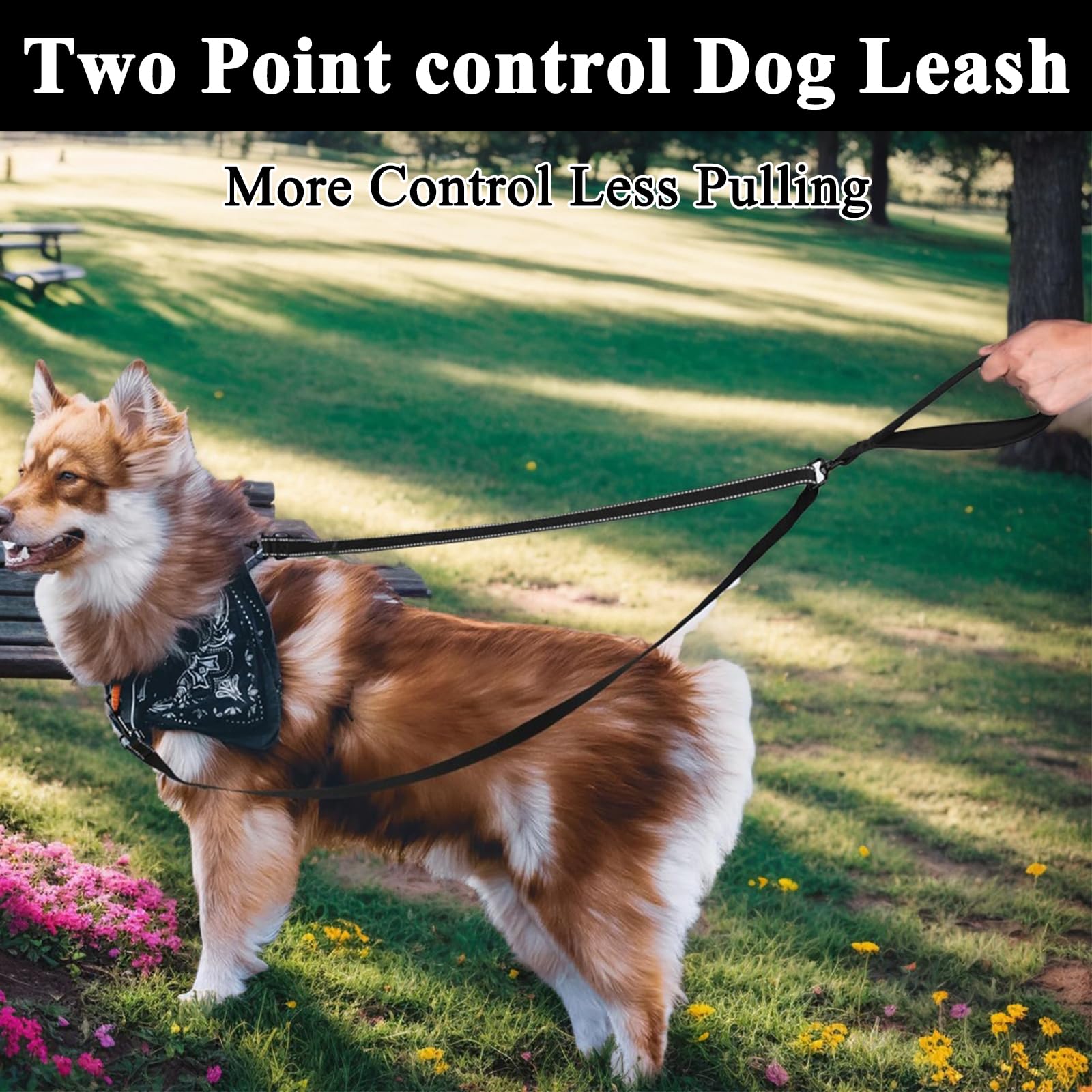 Kighdel Double Ended Lead for Dogs,Double Clip Lead for Dogs,Multi-Function Double Ended Dog Lead,Anti-Pull Two Point Control Dog Leash,Can Be Converted Into a Single Leash for Medium and Large Dogs - Image 4