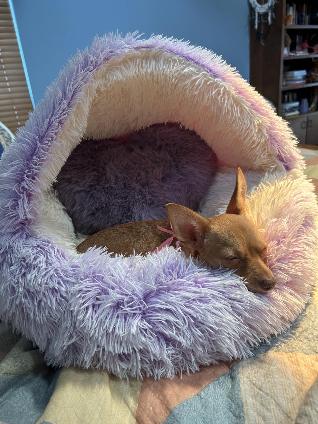 Pet Cave Beds for Dogs​, Cozy Cave Cat Bed​ photo review