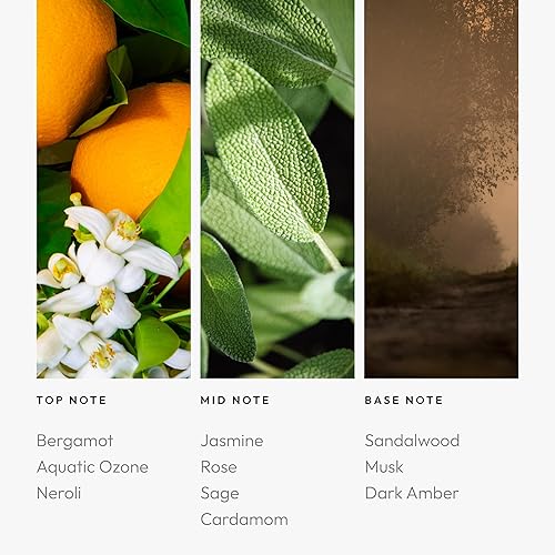 Vista 550 de Aroma360 - Mezcla de aceites aromáticos My Way Inspirado en hoteles para difusores de aceites esenciales de lujo Aceite difusor de aroma