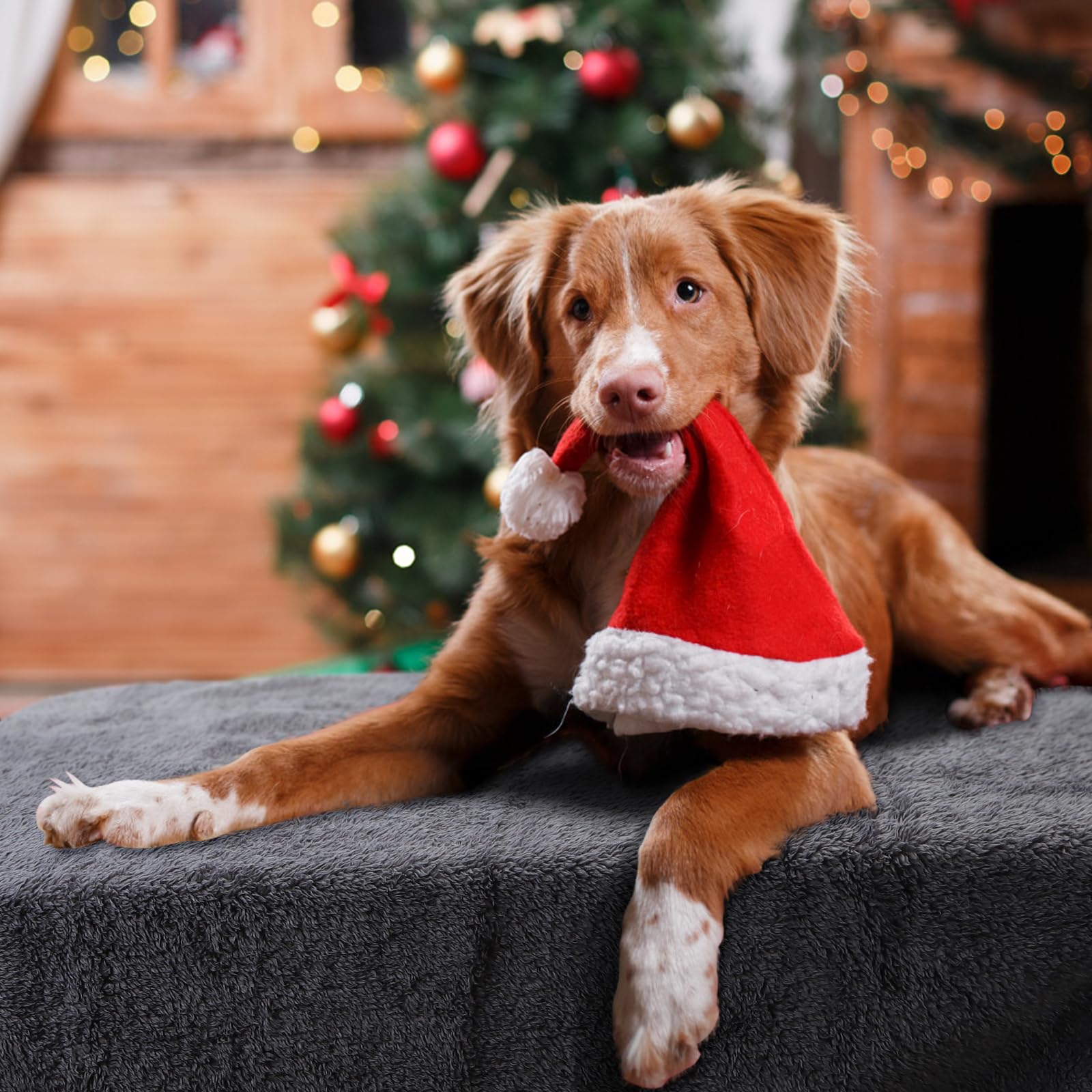 Nobleza - Morbida Coperta in Pile per Cani e Gatti. Confezione, Color Grigio, Misure 100 * 80