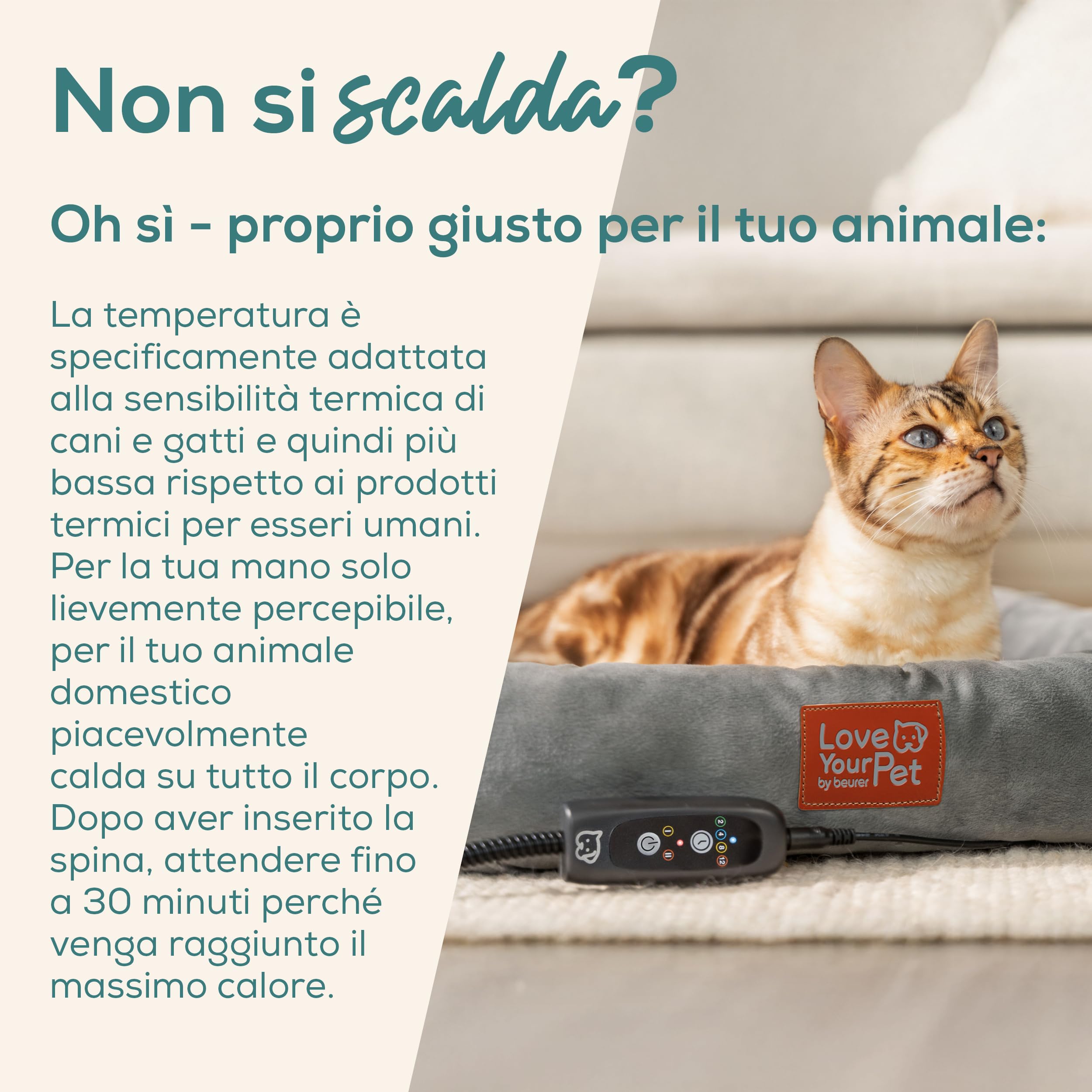 Beurer Love Your Pet Cuccia Termica "Kira" per Animali, Cuccia Riscaldante per Cani e Gatti con Timer e 2 Livelli di Calore, Sfoderabile, Lavabile, Impermeabile, Antigraffio e Sicura 58x50 cm