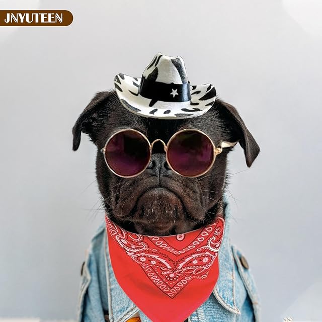 Foto 5 de 7 de 4 Piezas Sombrero Vaquero para Perros y Gatos, Disfraz Mascota Accesorios con Bandana Gafas Pajarita