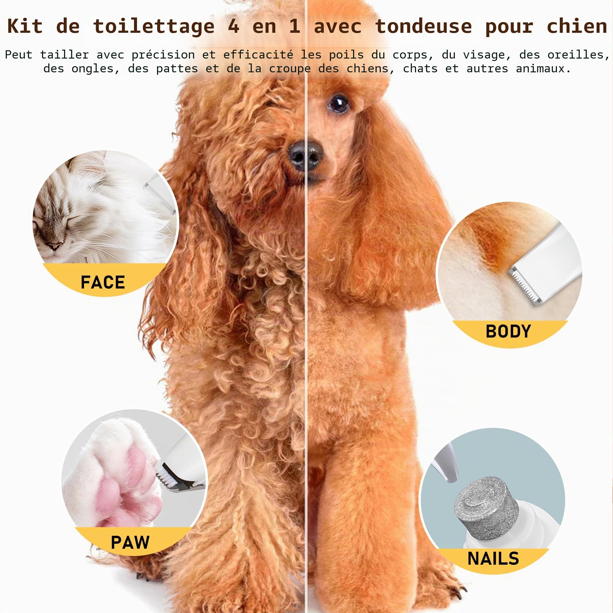 Tondeuse pour chien, kit de toilettage 4 en 1 JIUWIIL avec écran LCD, tondeuse pour chien, tondeuse pour griffes, rasoir pour animaux de compagnie (chats, chiens)