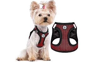Tiny Dog Harness: The Perfect Fit for XS Dogs
