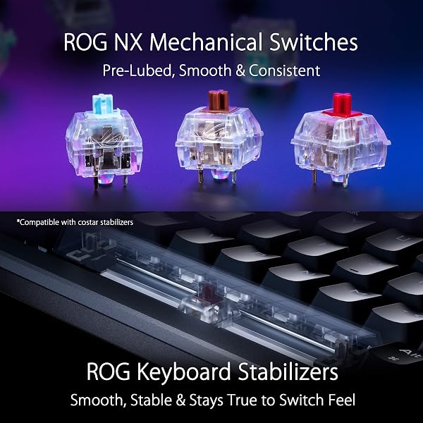 ASUS ROG Azoth - Teclado Mecanico Gaming 75%, Cubierta Metálica, Switch ROG NX Red lubricados, ABS, Kit de Lubricado, IR, BT y USB-C, Pantalla OLED, Tres Alturas y Compatible con Mac - QWERTY español - 5