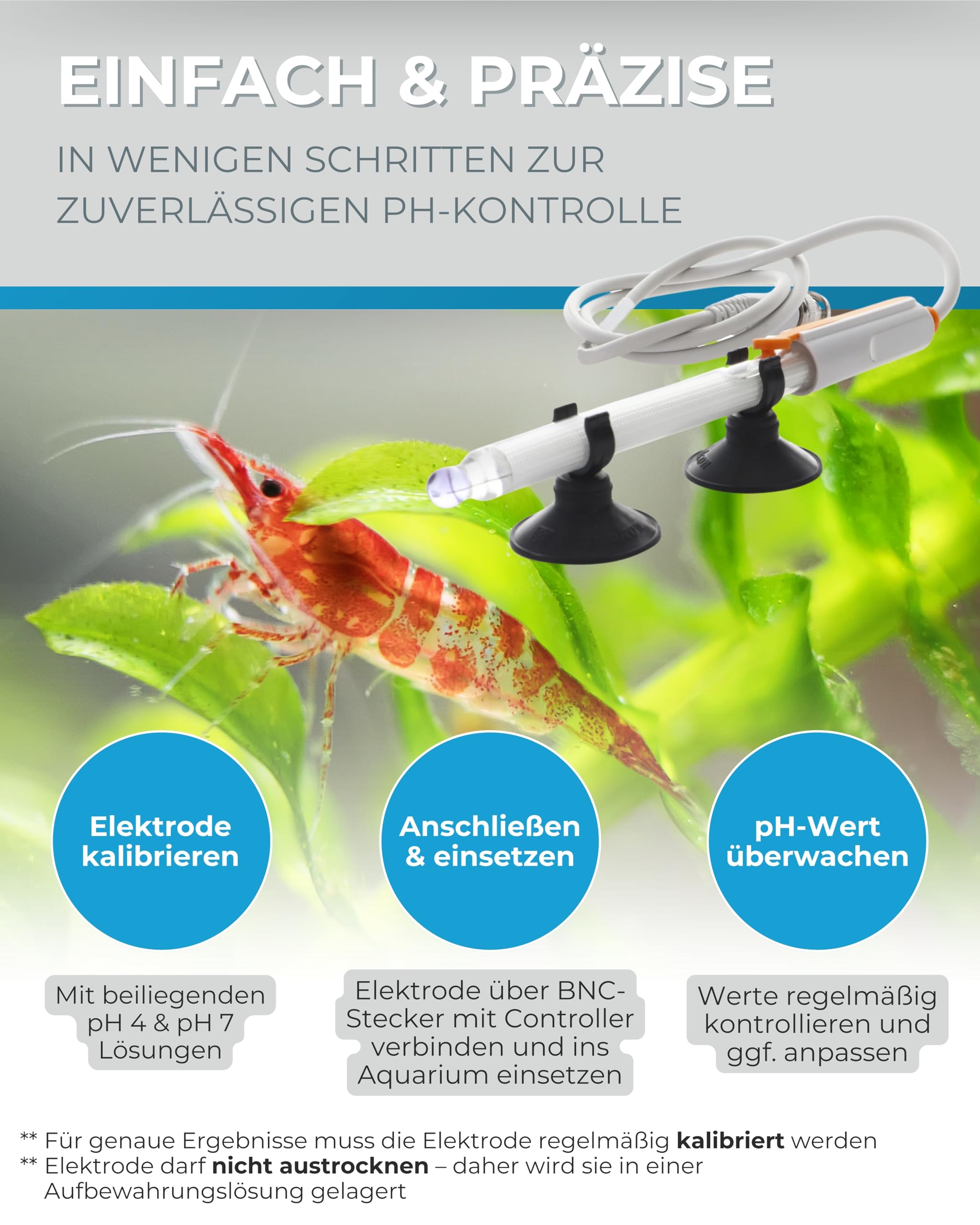 Dupla pH-Elektroden Set 2.0 mit BNC Stecker inklusive Kalibirierlösung pH 4 und pH 7, Dest, sowie Messbecher. Deutsche Gebrauchsanleitung. 1,8m Kabel.