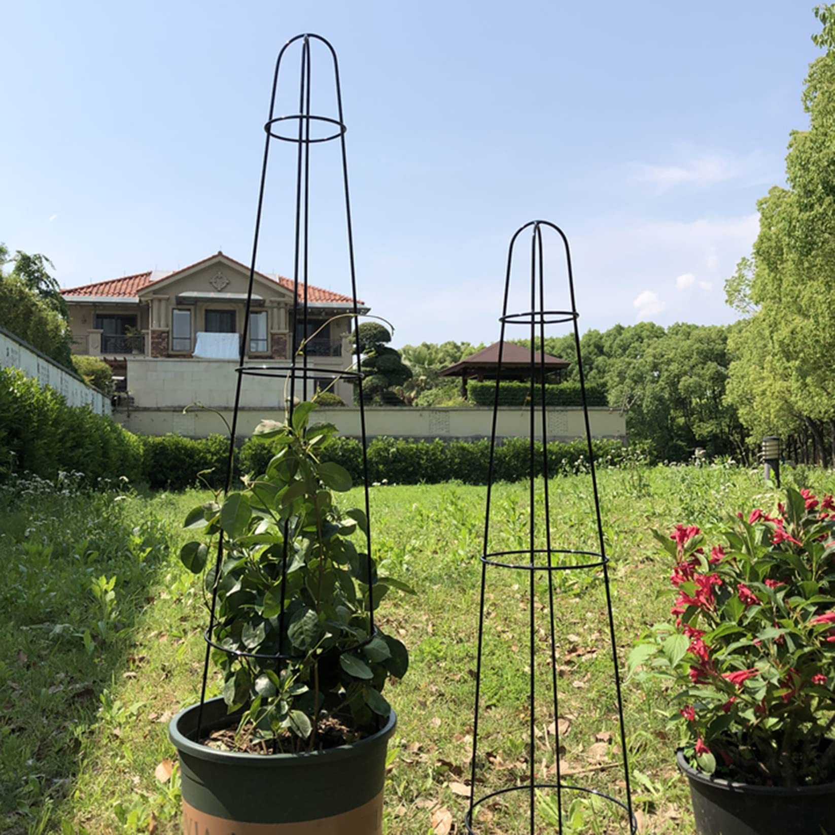 2 Pièces Obélisque Arceau Arche de Jardin,Tuteur Tomates Pieu Tuteurs Plantes Support tuteur métal Colonne rosiers aux intempéries pour Support de Fleurs,de Légumes,Plantes,Jardinage et verger