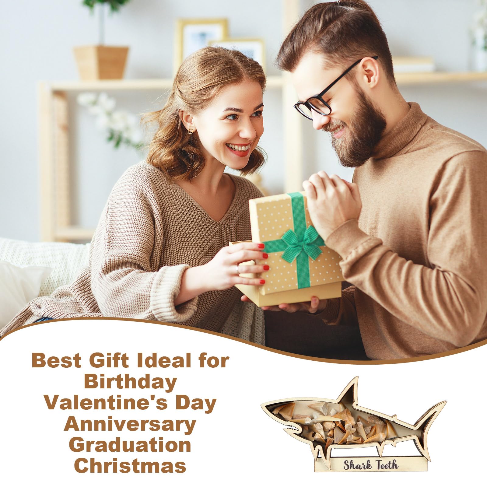 Amazon.co.jp: Yousoontic サメの歯のディスプレイケース サメの