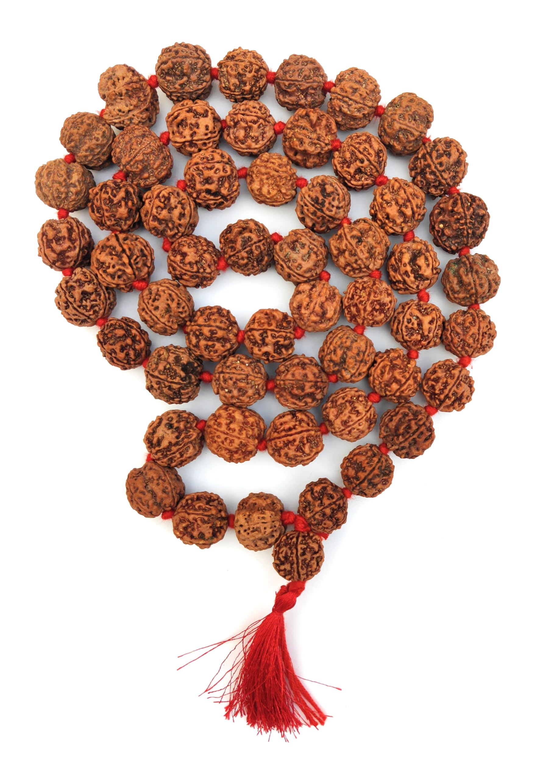 5 Mukhi Rudraksha Mala - Natural & Lab Certified -7