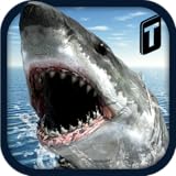 Crazy Shark 3D Sim