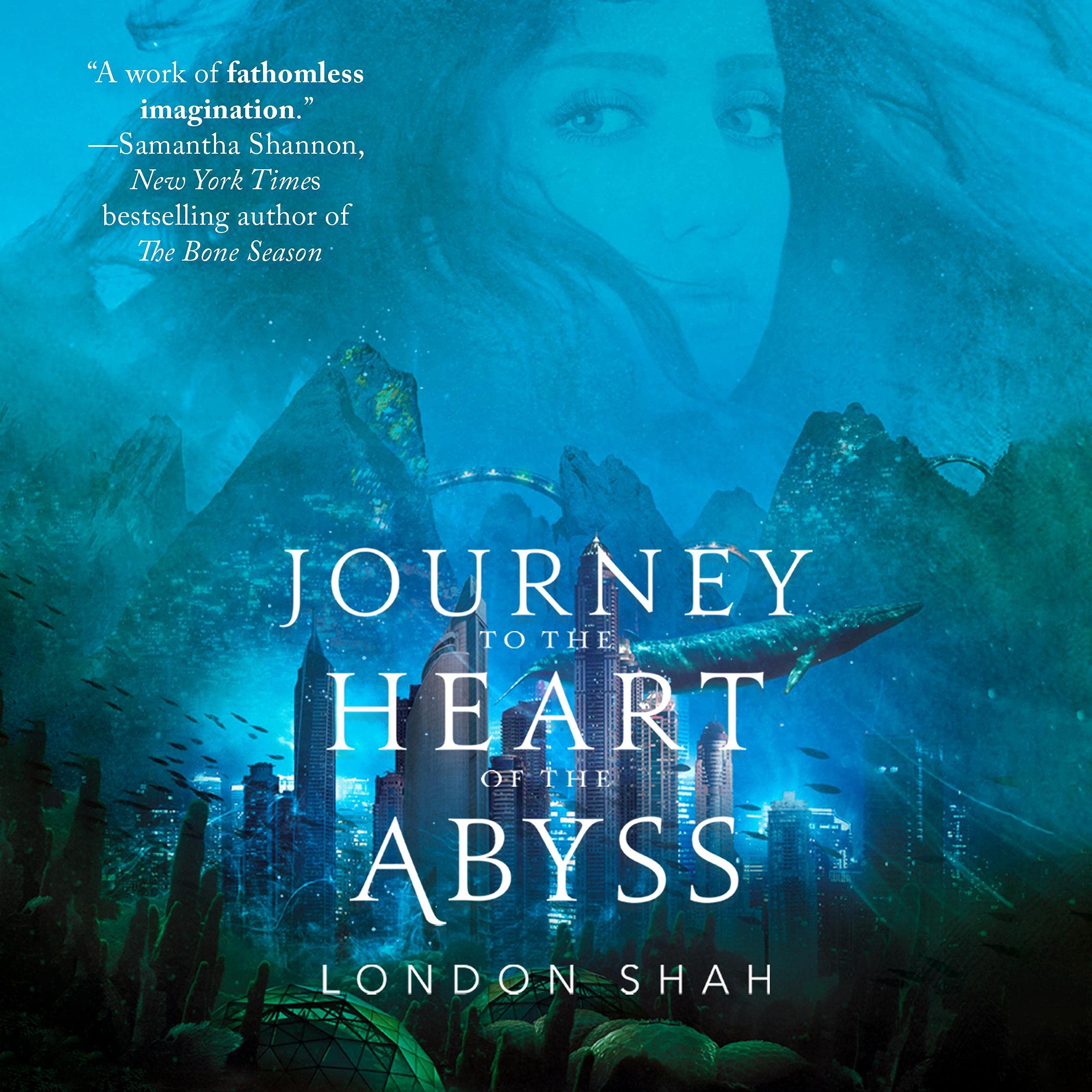 Cover art for Journey to the Heart of the Abyss