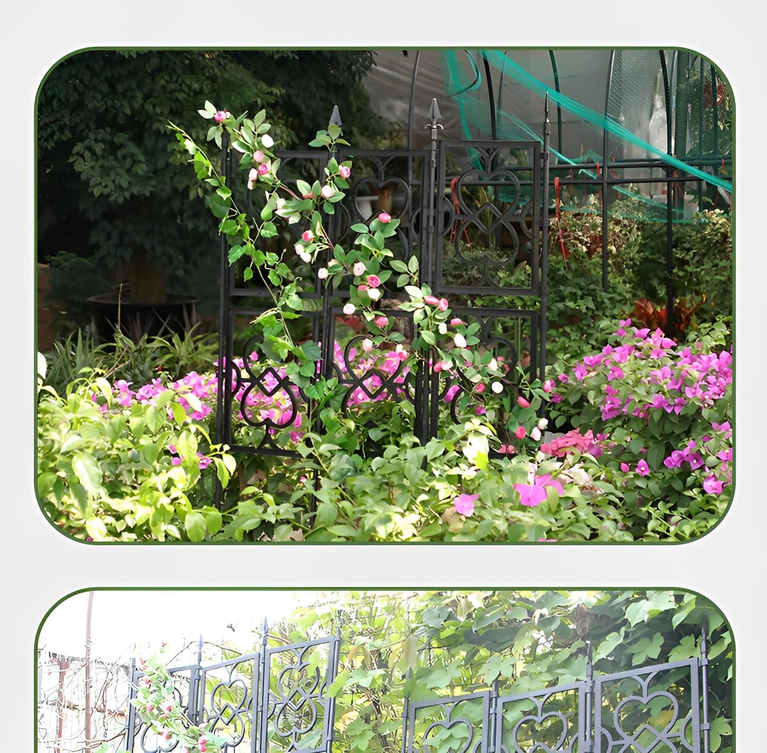 Gartenspalier für Kletterpflanzen, faltbar, für den Außenbereich, freistehende Paneele für Rosen, Jasmin, Clematis, Schwarz (Größe: )