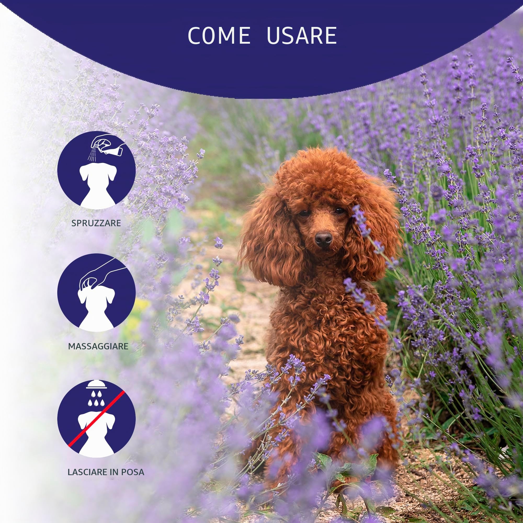 Artero Loop. Balsamo per cani dai capelli ricci. Spray testurizzante e fissante (250 ml)