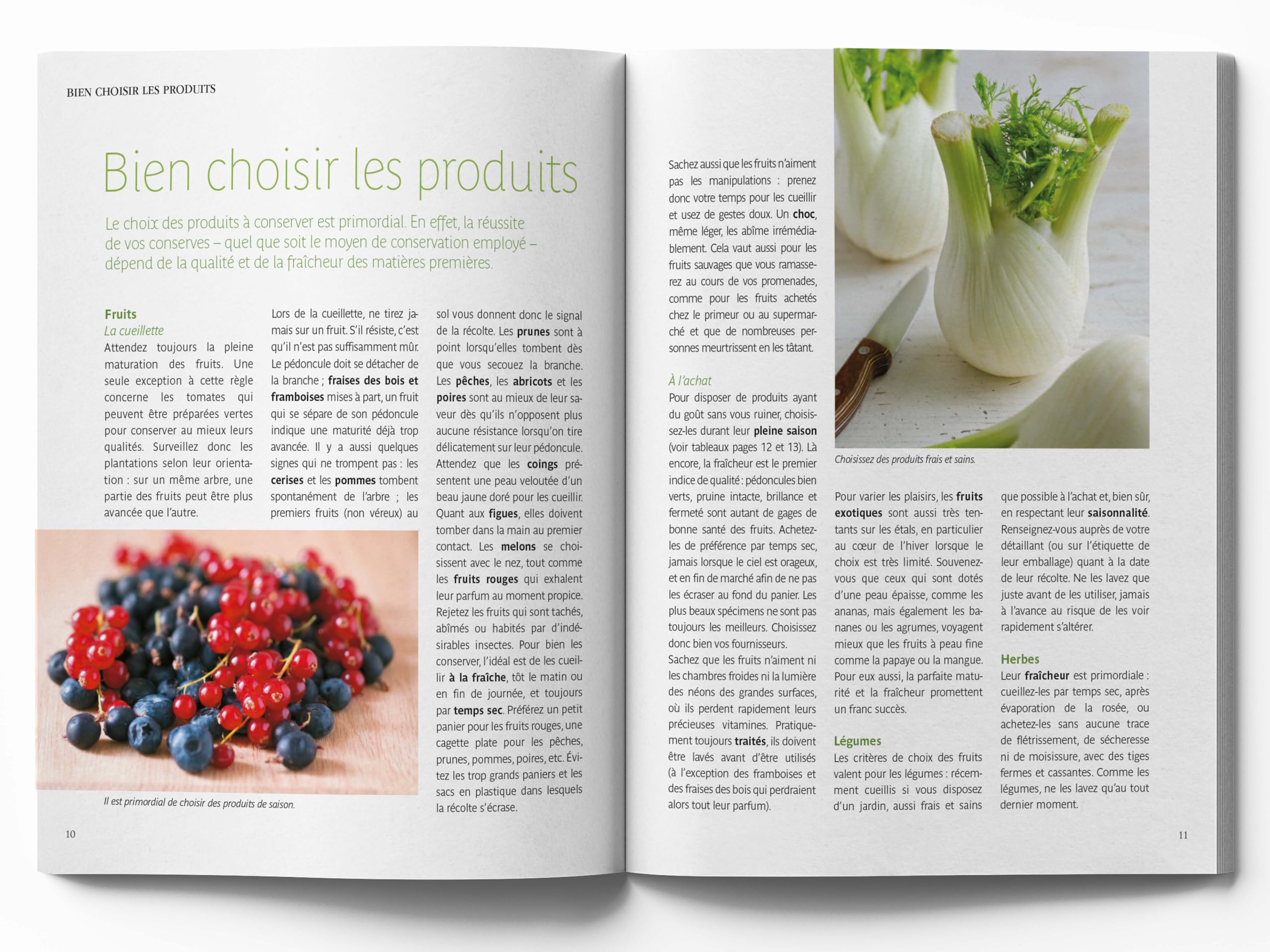 Traité Rustica de la conservation