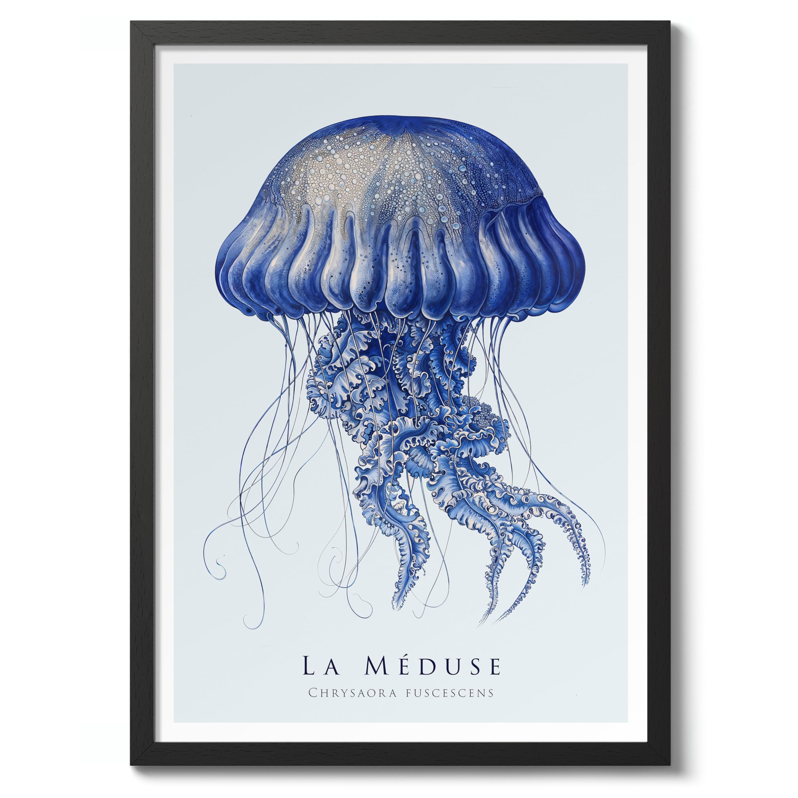 Jellyfish Nautical Exhibition Art Print, Vintage Botanical Prints, Retro Sealife Oceanography Illustration Wall Art Pictures, Nature Bathroom Home Decor, A5 (Black Frame) - 24.1x17.9cm