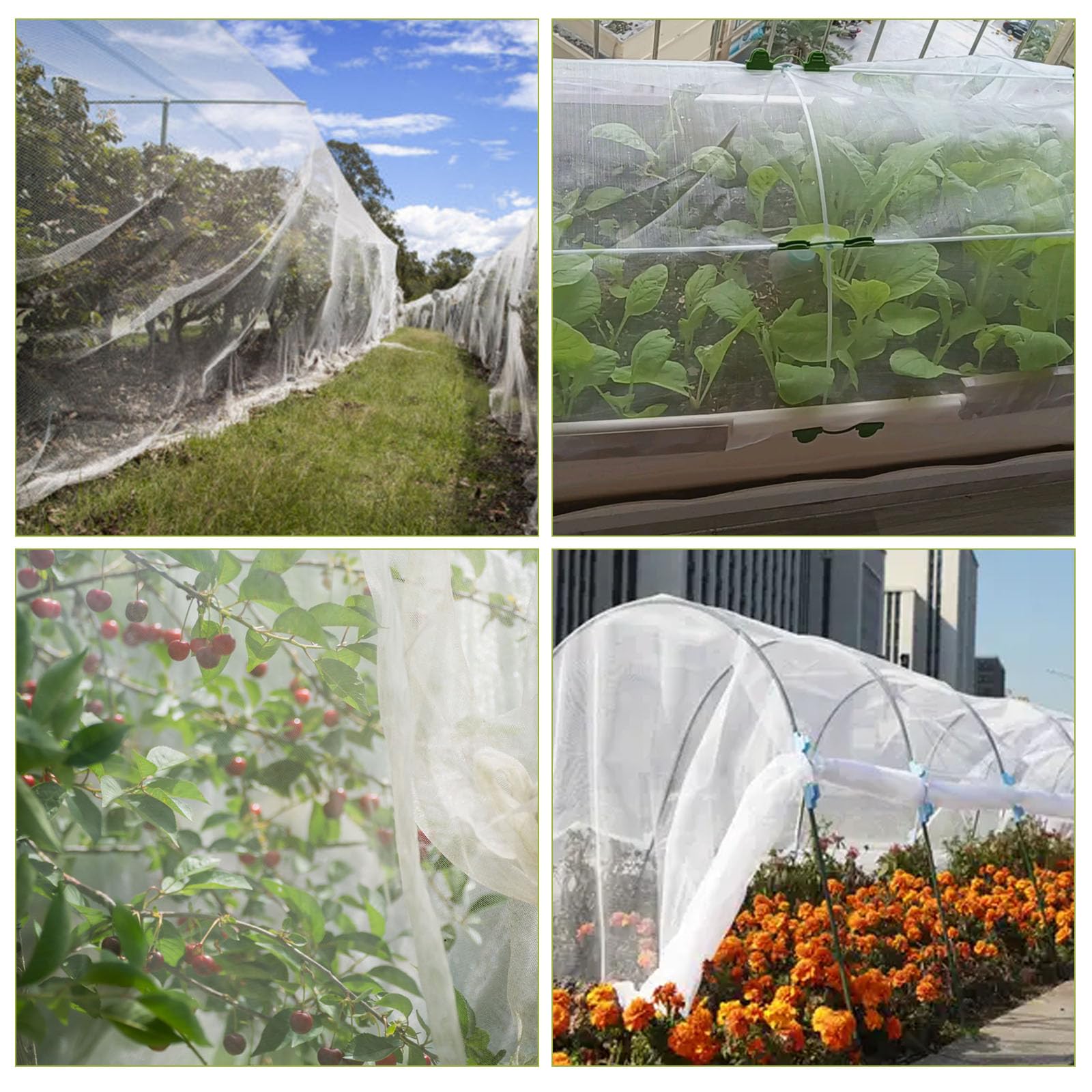 Filet à légumes de Jardin 3 x 6 m - Filet de Protection Contre Les Insectes pour Plantes et Légumes