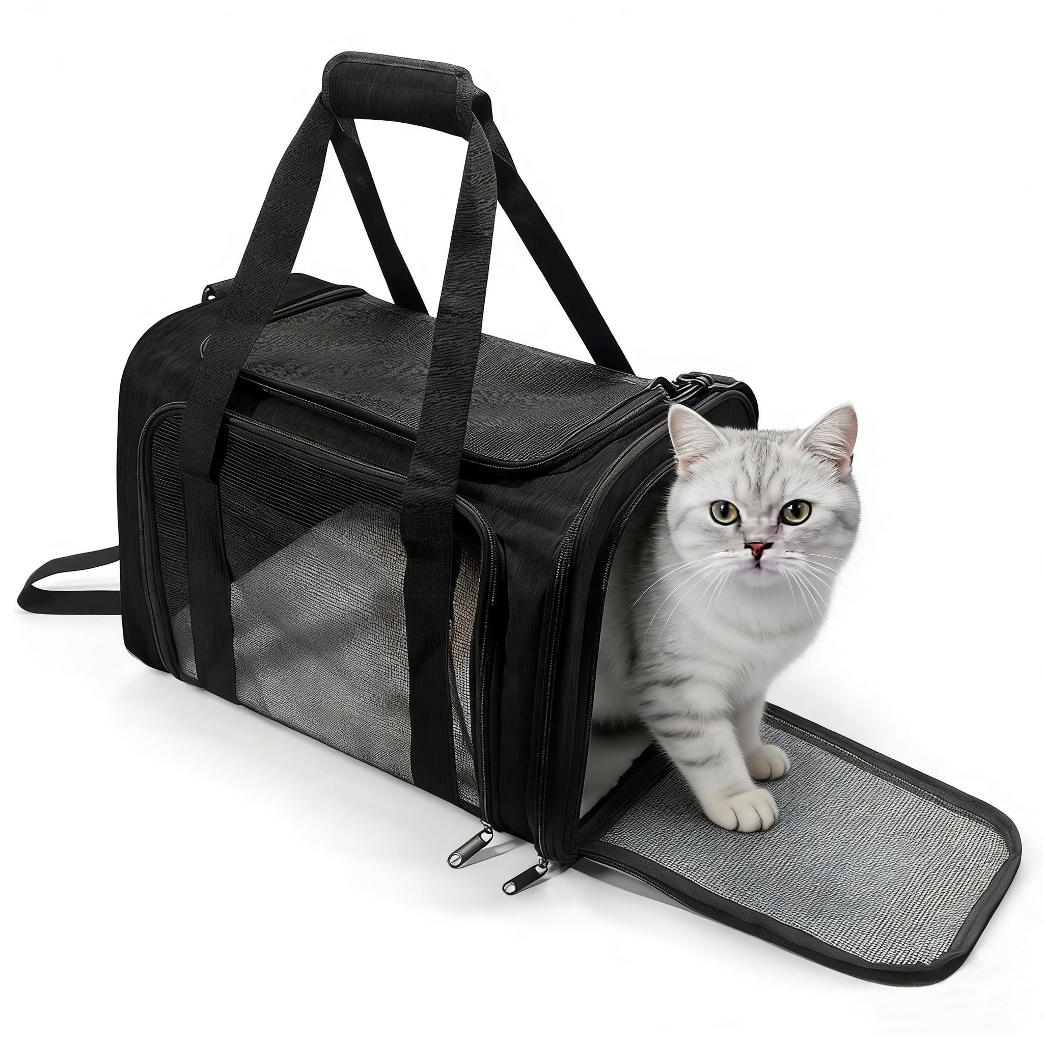 Transportbox für kleine und mittelgroße Katzen bis zu 11,3 kg