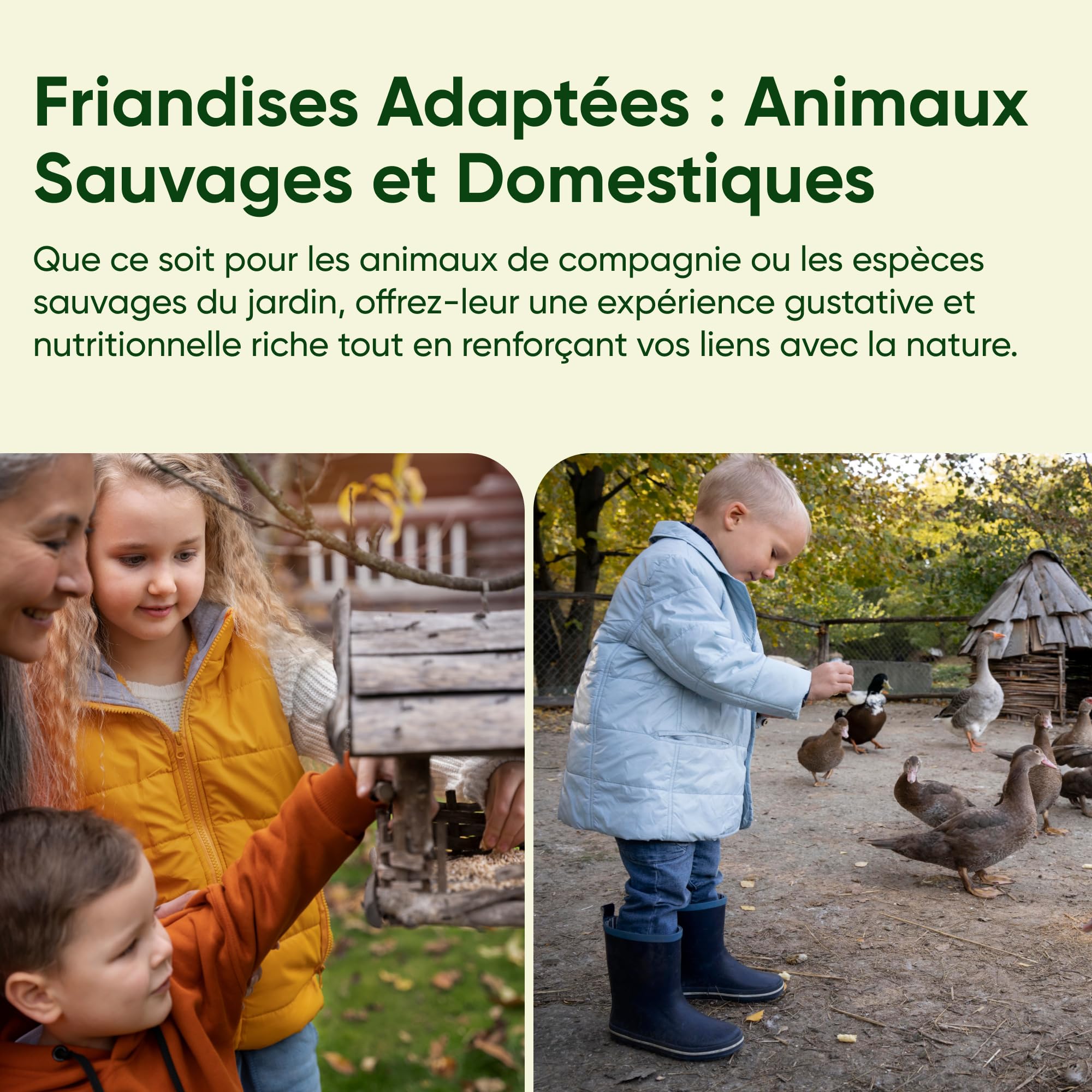 vers de Farine pour Poules 2kg - Élevés Et Séchés en France - Riche en Protéines 55% - Nourriture 100% Naturelle pour Oiseaux, Hamster et Reptiles - Complément Alimentaire Animaux
