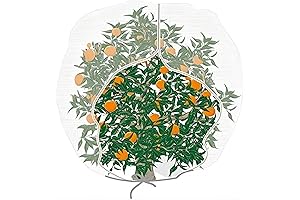 Agfabric Garden Netting - Ultimate Bird Netting Protection for Your Plants