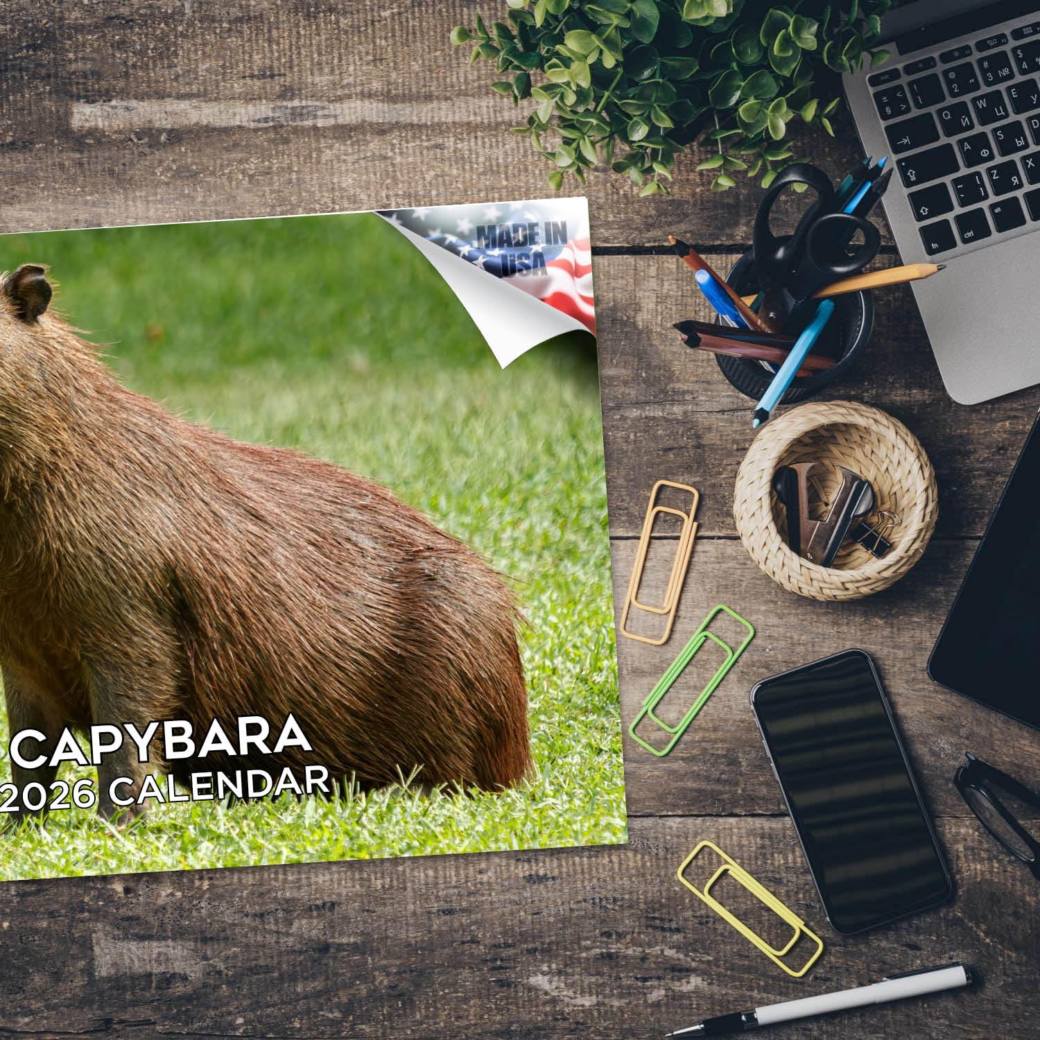 Calendario da parete 2024 2025 Capybara mensile, calendario della fauna selvatica, 30,5 x 45,7 cm, aperto, carta spessa senza sbavature, idea regalo, calendario per insegnanti accademici, calendario