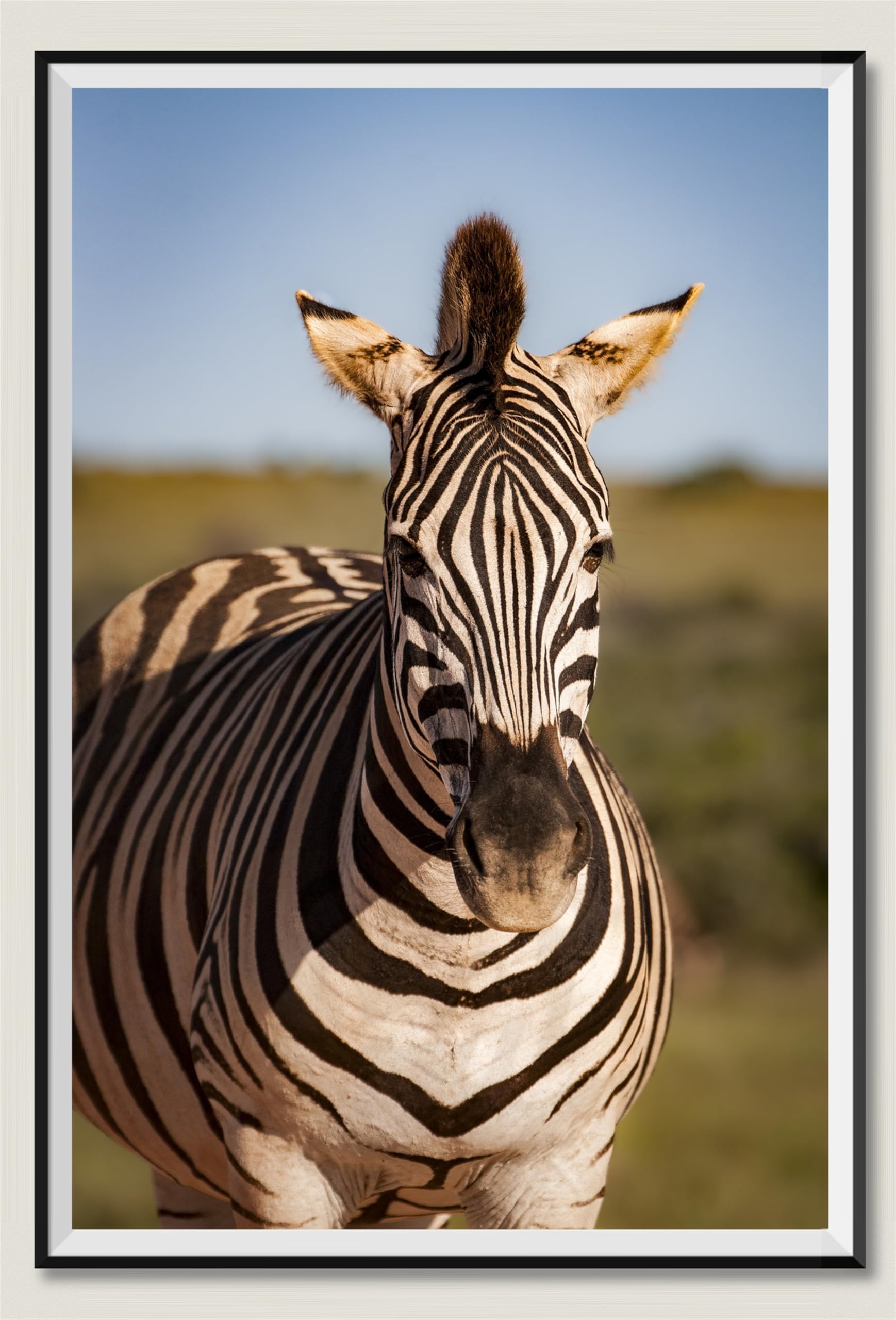 Puzzle in legno zebra da 2000 pezzi, regalo per amicizia, tempo libero, intrattenimento, decorazione per feste, 14 anni+ anni