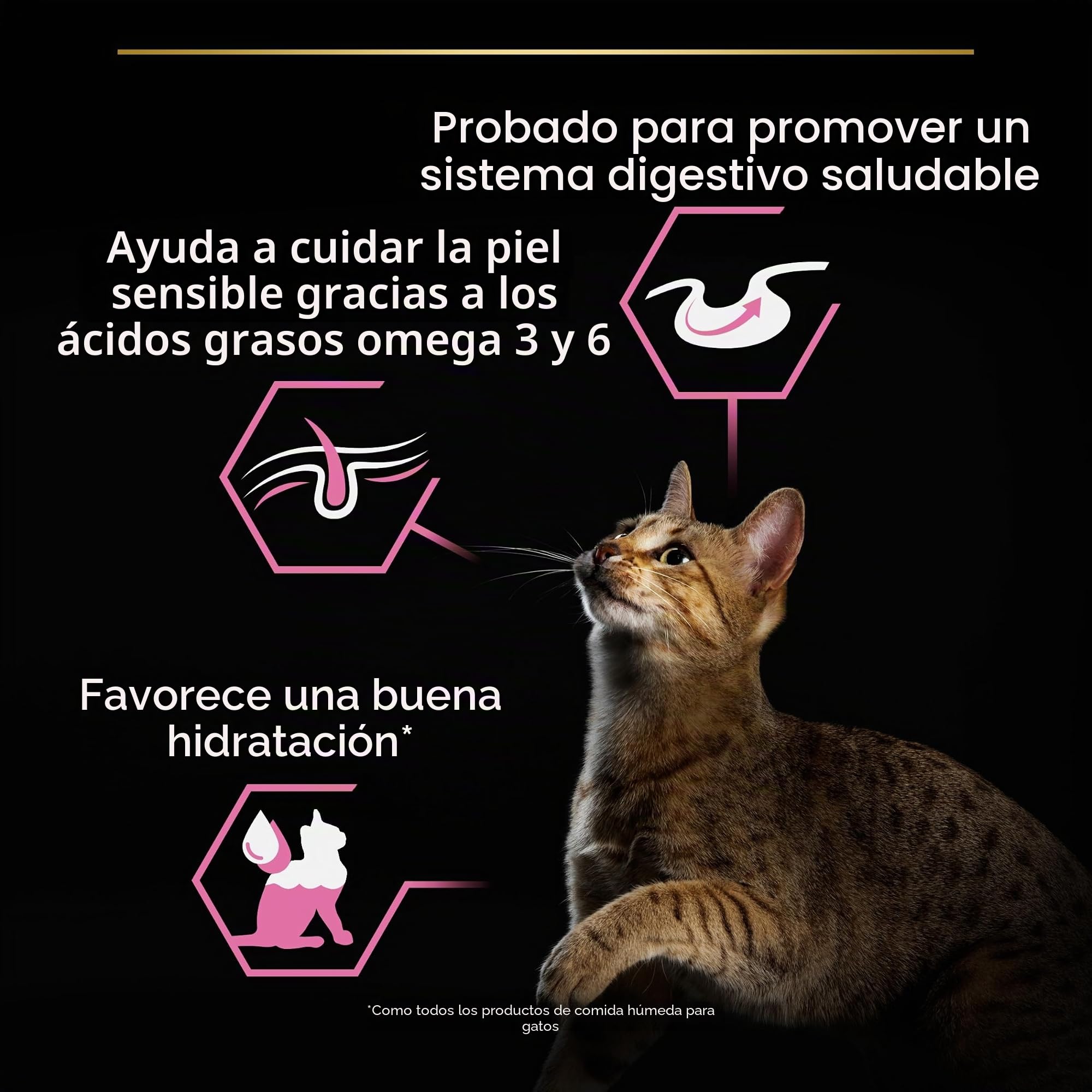 Pro Plan Adulto Delicado Digestión Pavo Pescado Salsa 40x85g