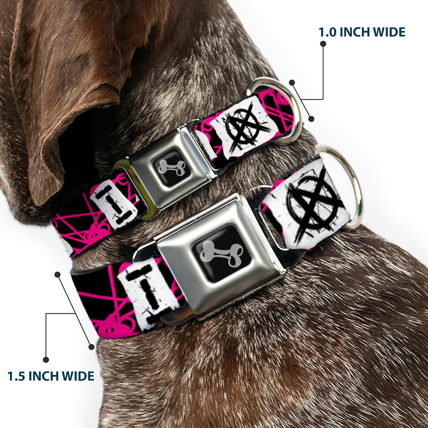 Buckle-Down Dog Collar Seatbelt Buckle I Heart Punk Rock Safety Pins Black Fuchsia White 11 to 17 Inches 1.0 Inch Wide, Multicolor (DC-W30917-M)