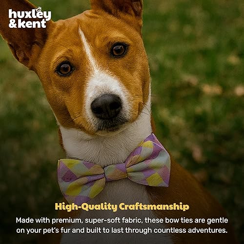 Miniatura 7 de Huxley  Kent Pajarita para mascotas diseño a cuadros de limón lavanda accesorio para collar de corbatín para mascotas de Pascua divertidos lazos