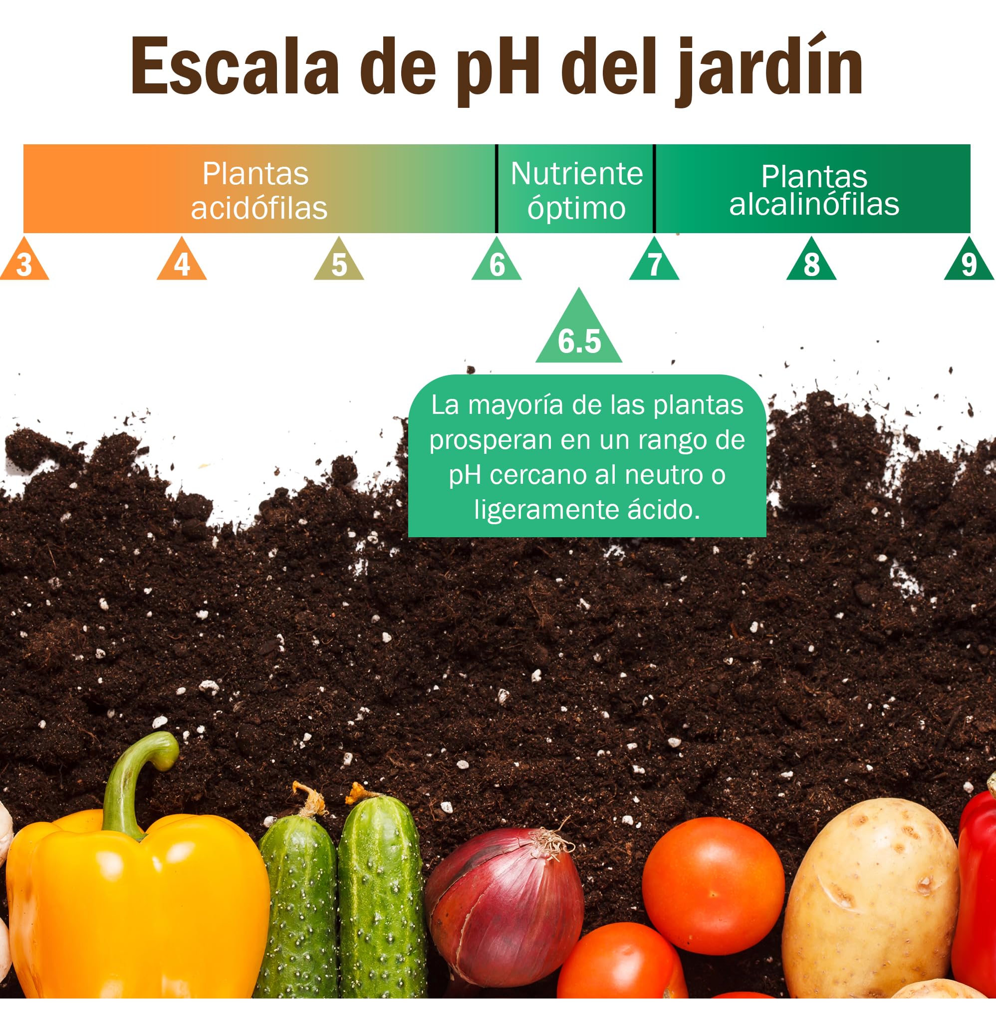 Kit de prueba de suelo: 100 tiras de prueba de pH del suelo (rango 3-9) pruebas de pH rápidas y precisas para jardín, césped y plantas | Tiras probadoras de pH fáciles de