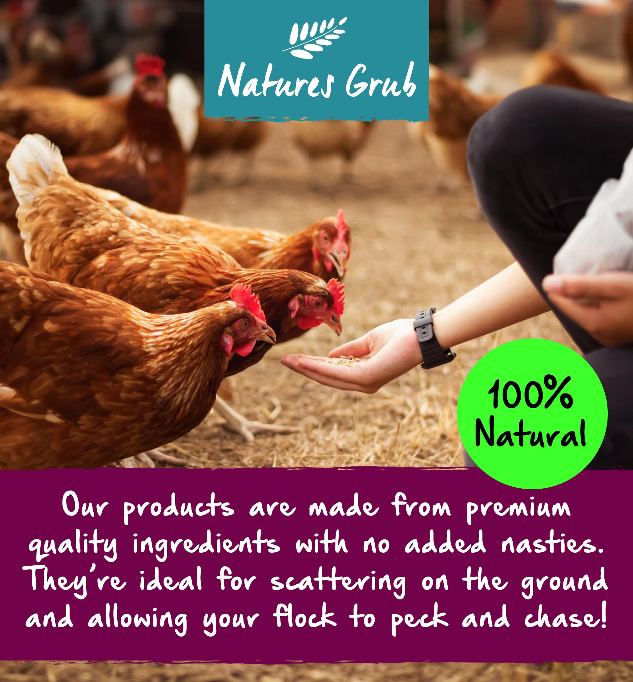 Natures Grub Apfelessig mit Knoblauch, 1 l, natürliches Nahrungsergänzungsmittel für Hühner und Geflügel, Verdauungsunterstützung, nicht pasteurisiert mit Mutter, Parasitenabwehr, hergestellt in