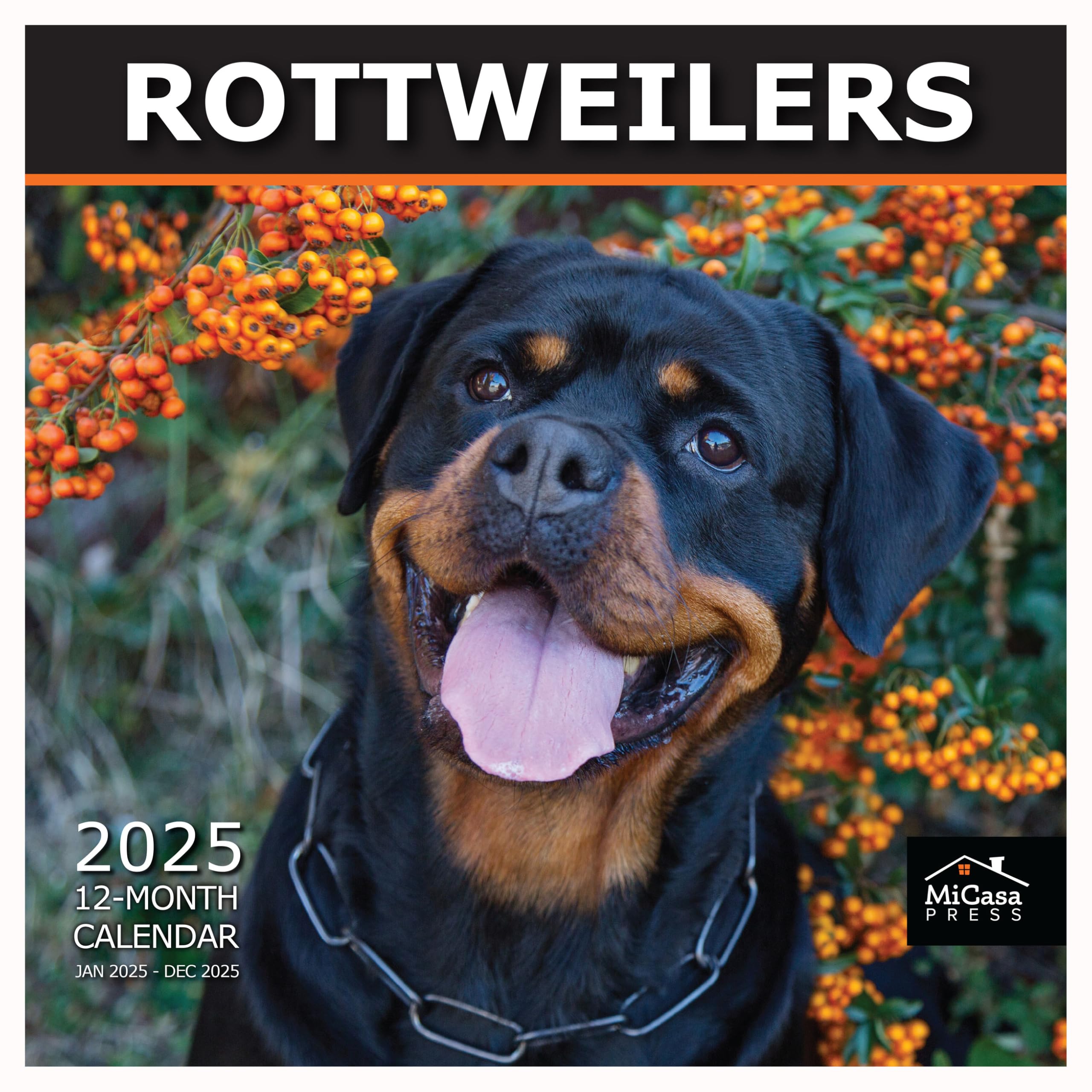 MICASA PRESS - Rottweilers 2025 Wall Calendar 12 Month | 12" x 24" Open | Thick &amp; Sturdy Paper | Giftable | Dog Calendar 2025